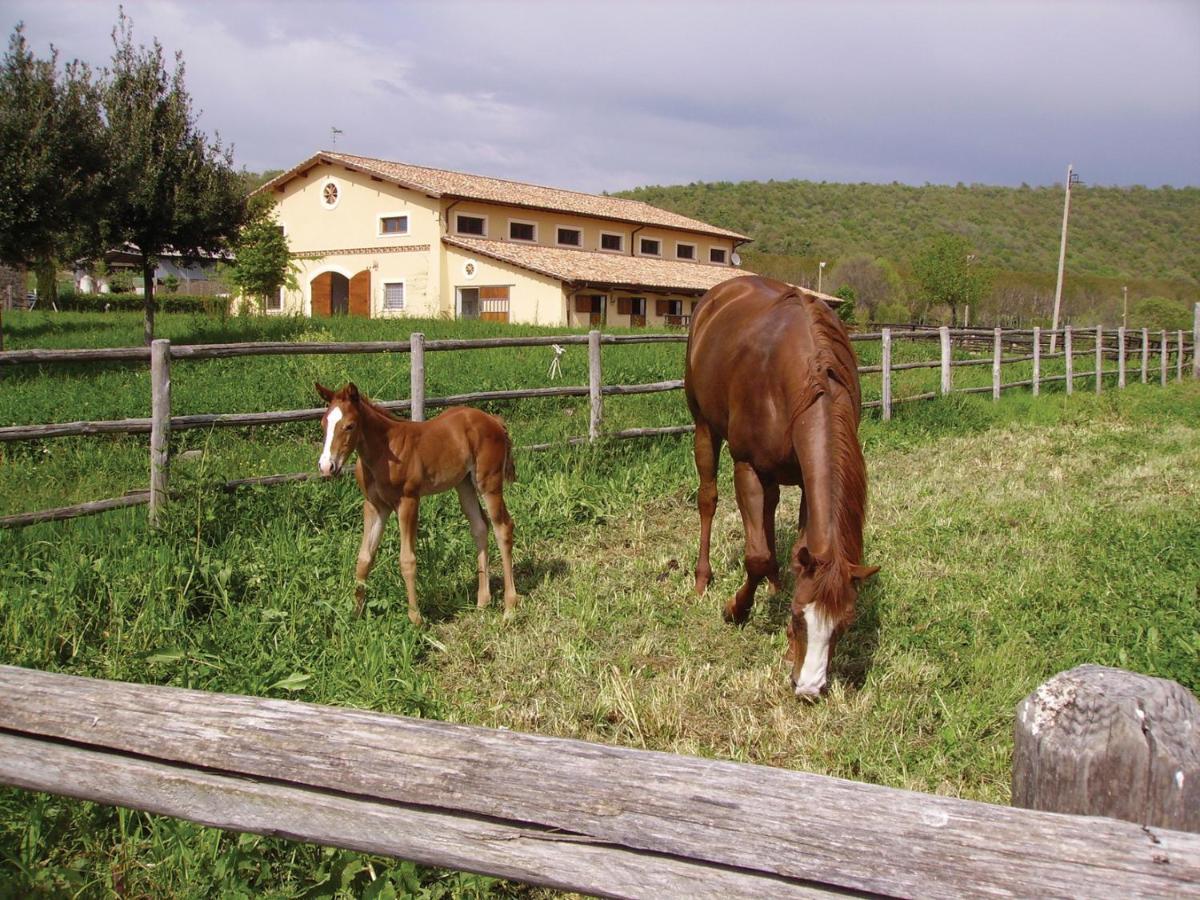 Agriturismo Potrero Grande Sul Lago Di Martignano Con Spiaggia Campagnano Di Roma Exterior photo
